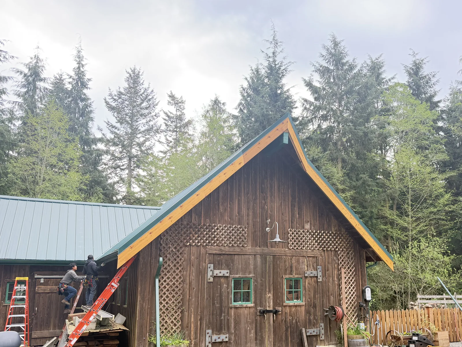 Cedar barn with a new metal roof and new cedar fascia boards while the gutters go on