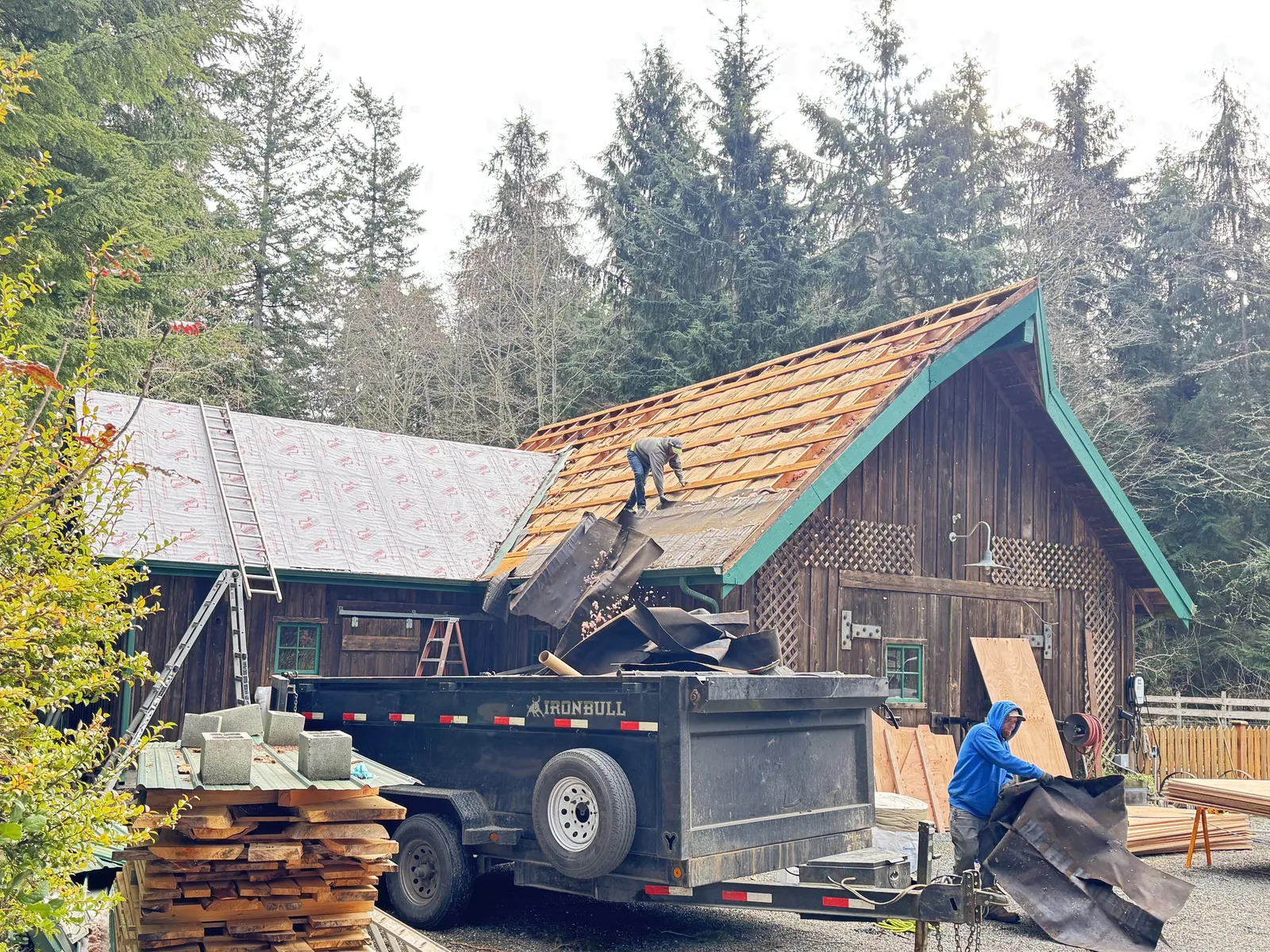 Crew stripping the old roof off a cedar barn and loading it into a dump trailer