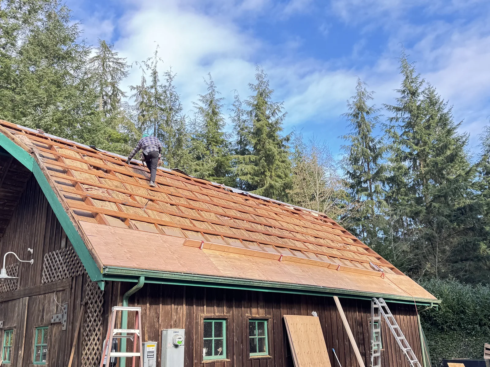New plywood decking going down over the roof framing of a cedar barn