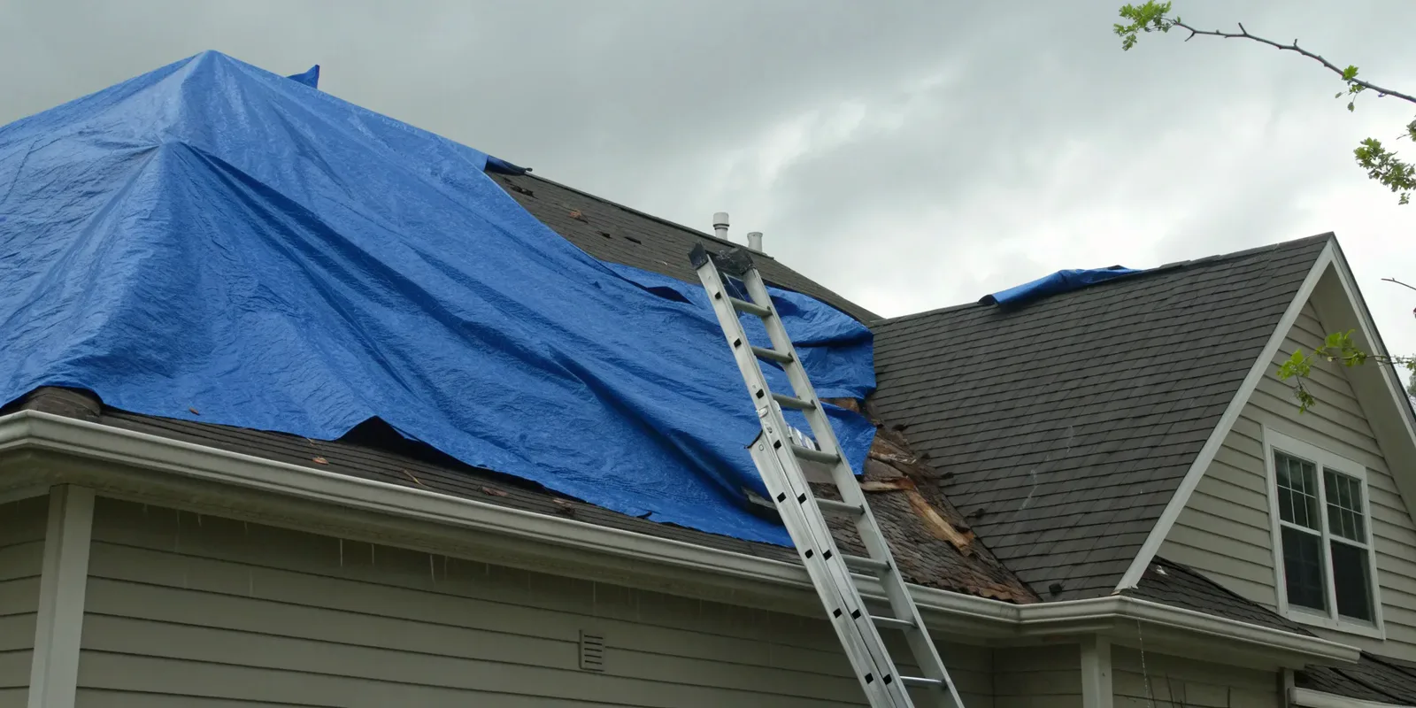 Blue tarp secured over a storm-damaged section of roof with a ladder against the eave