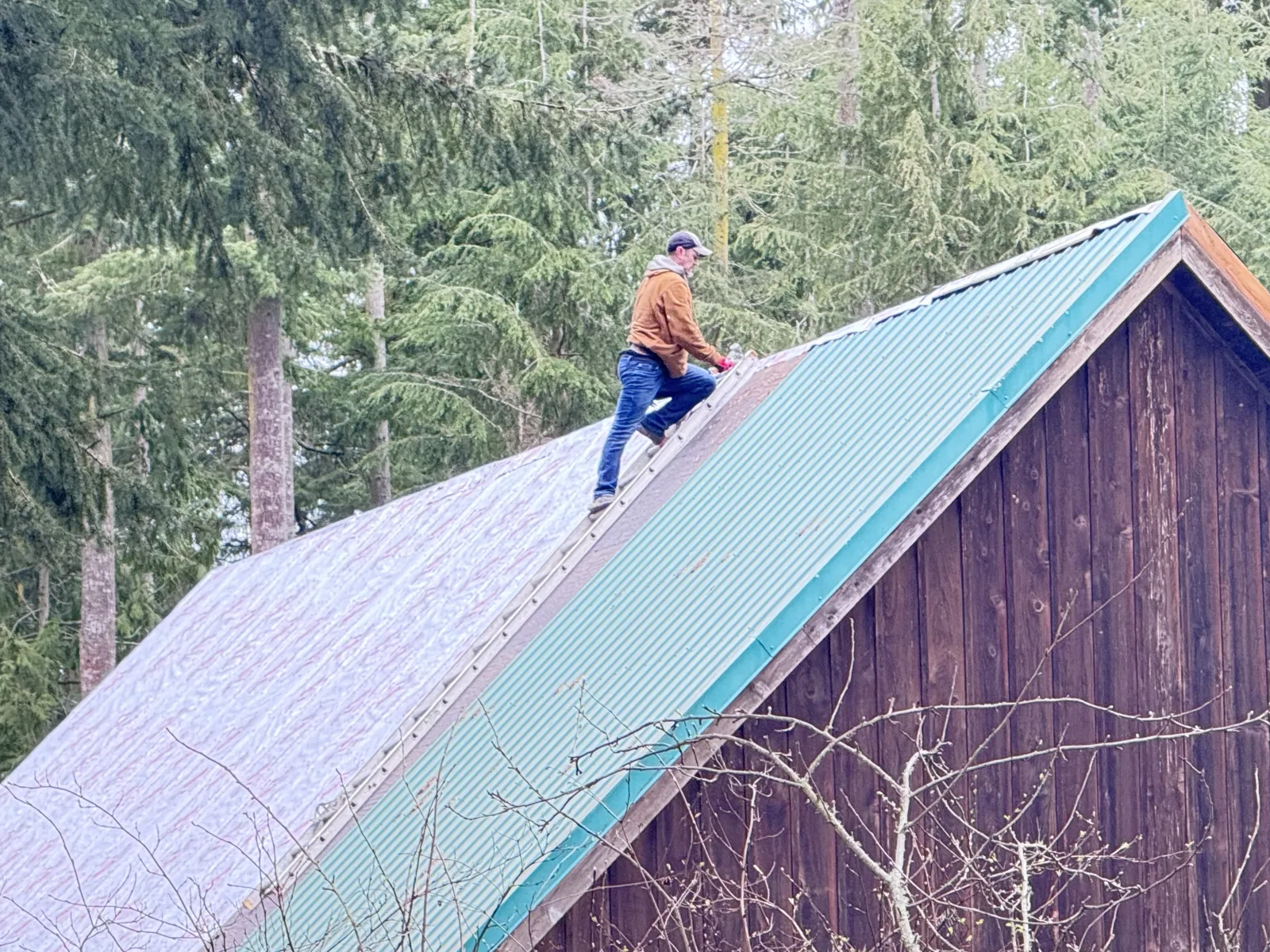 Roofer climbing a roof ladder between new underlayment and old green metal panels