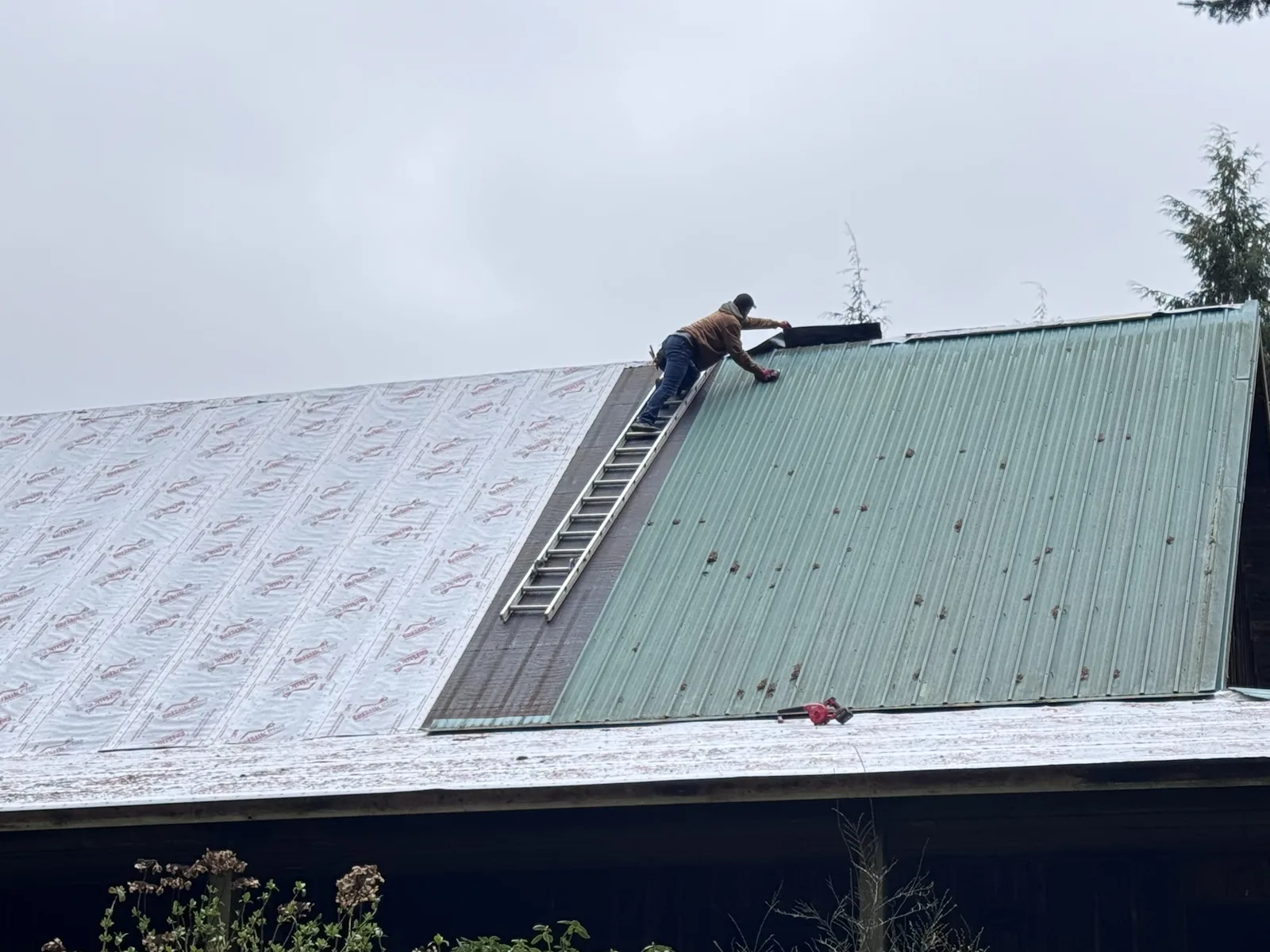 Roofer pulling the ridge cap off an old green metal roof beside a section already in underlayment