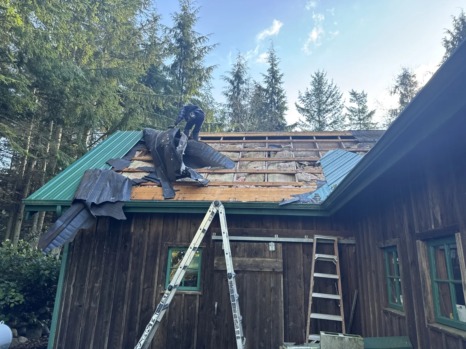 Roofer tearing the old roof off a cedar barn, with the framing and insulation exposed