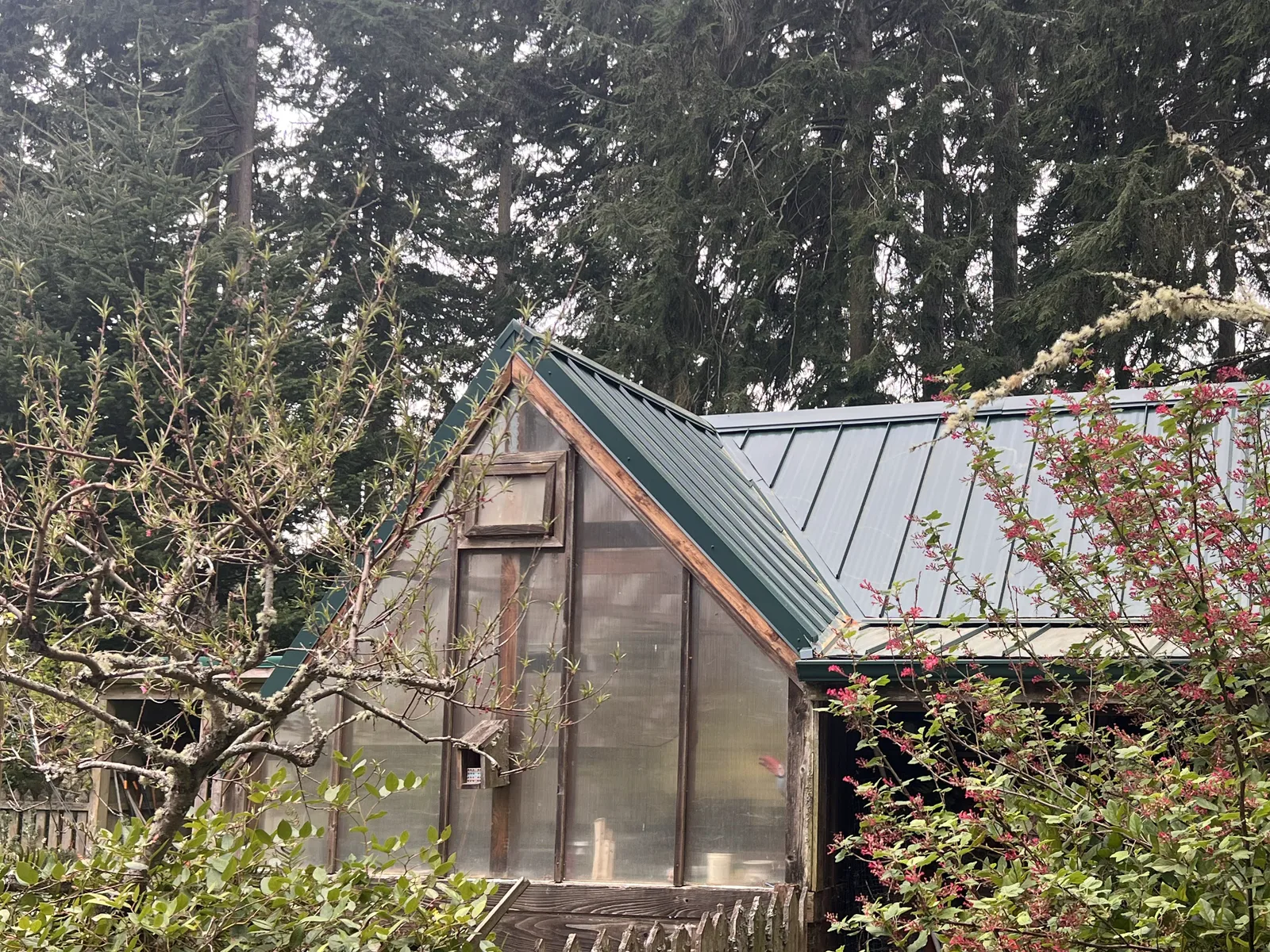New green standing-seam metal roof on a building behind a small greenhouse