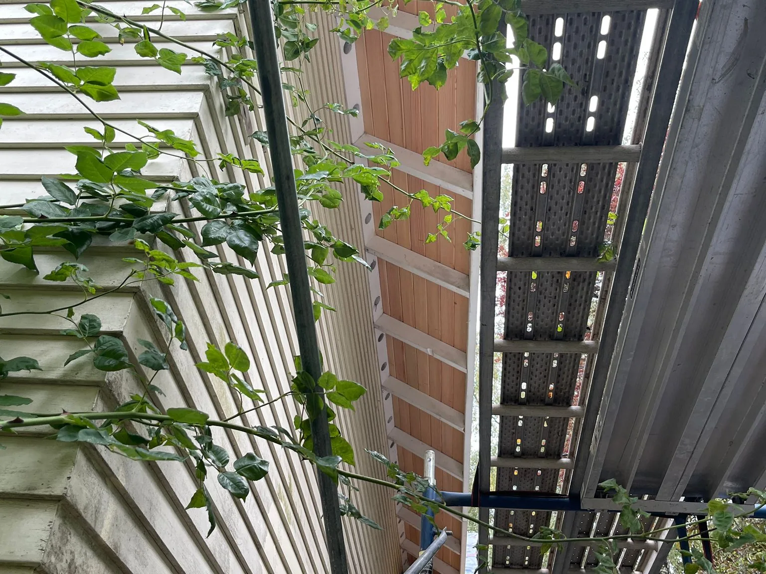 Scaffolding along a house wall under a new eave during a re-roof
