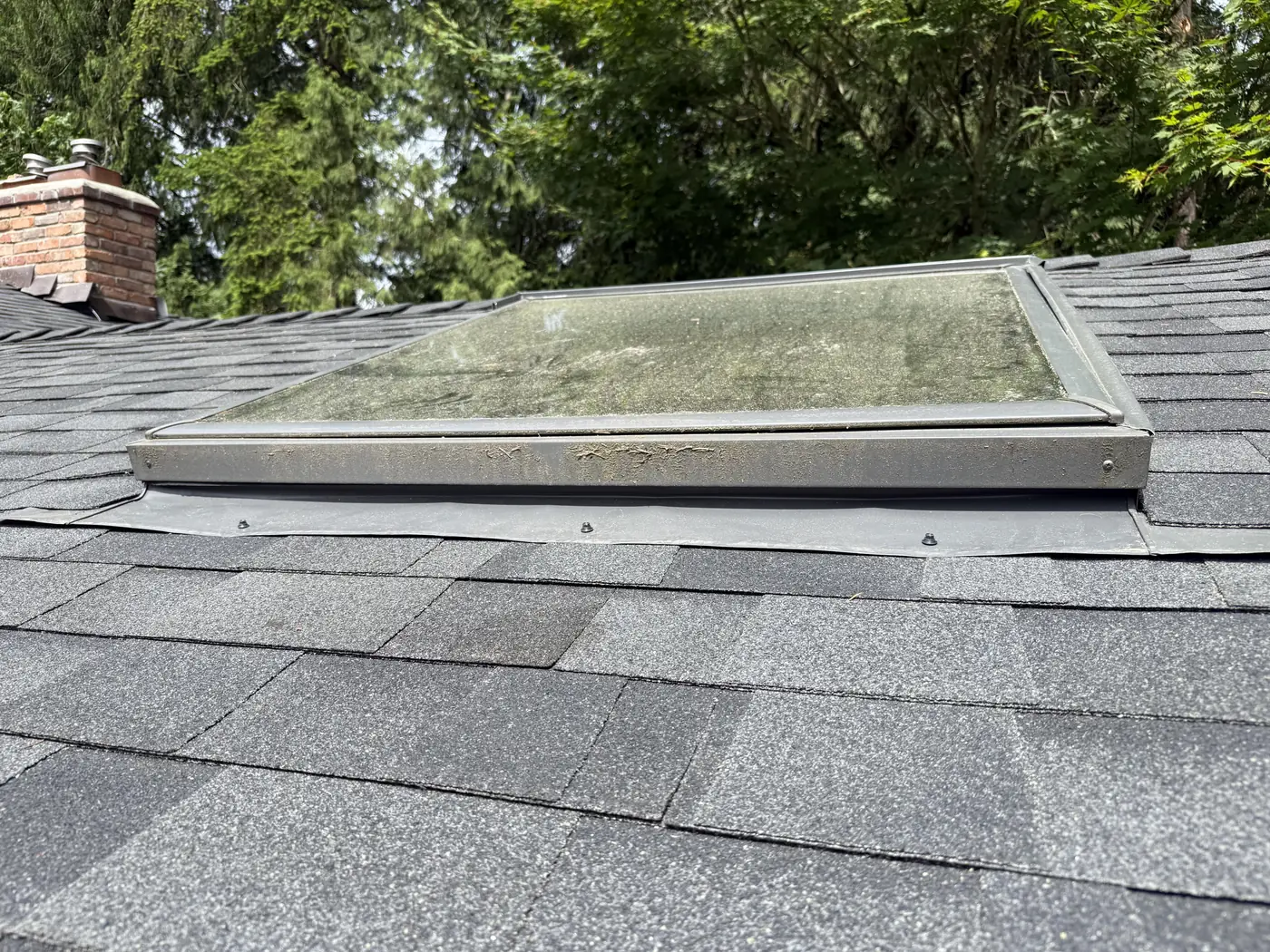 Skylight on a grey asphalt shingle roof with evergreen trees behind