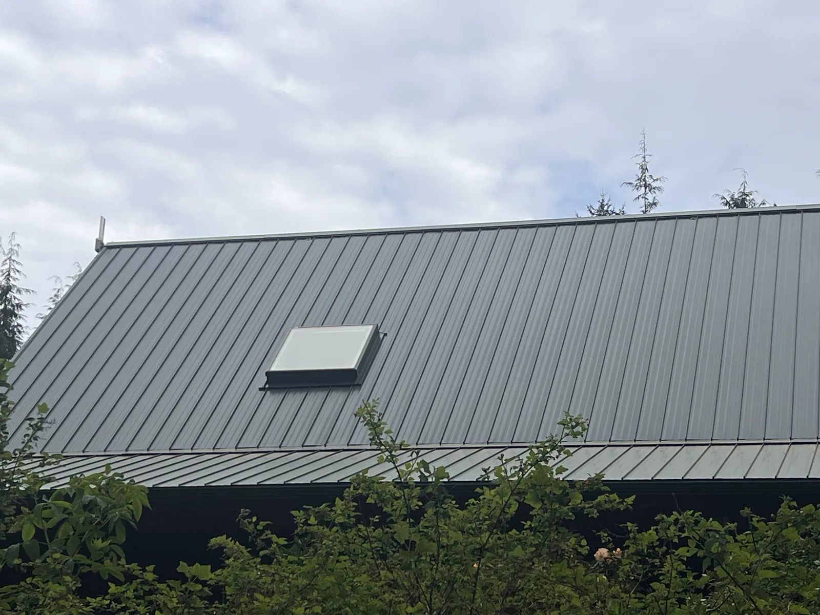 Close-up of a new grey-green standing-seam metal roof with a skylight on a Whidbey Island home