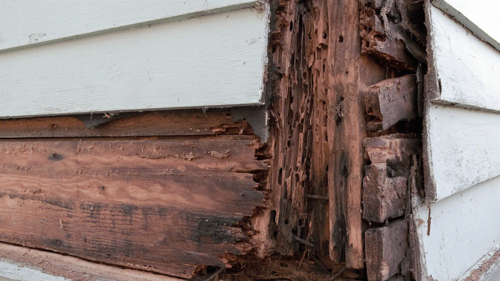 Rotted wood exposed at a house corner where the siding has been removed for repair